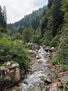 Stream amidst mountains