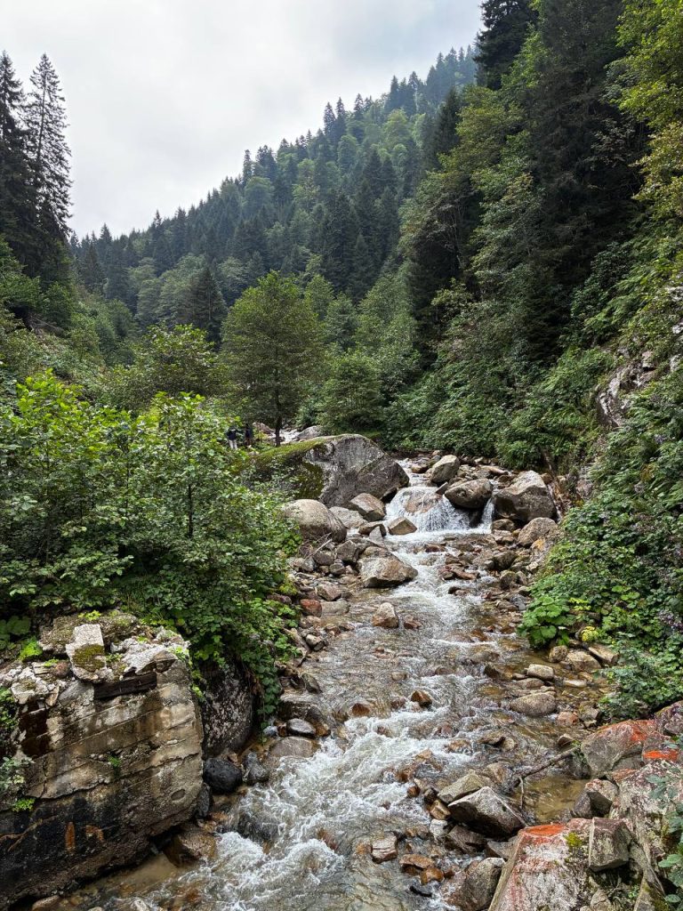Stream amidst mountains